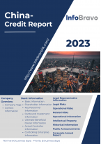 中國-企業信用報告